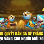 bi-quyet-ban-ca-de-thang-–-meo-vang-cho-nguoi-moi-2025