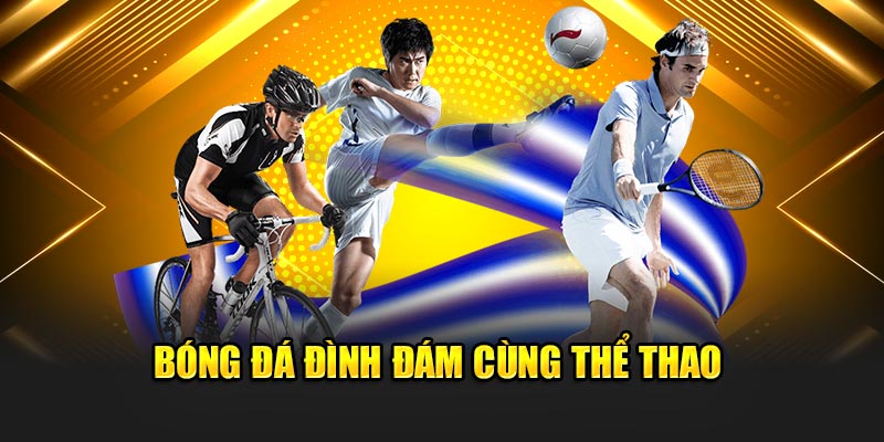 Bóng đá đình đám cùng thể thao