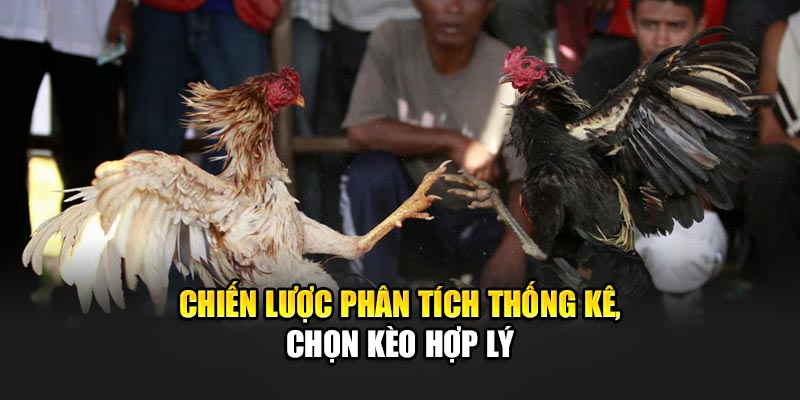 Chiến lược phân tích thống kê, chọn kèo hợp lý