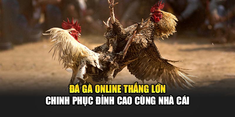 da-ga-online-thang-lon-–-chinh-phuc-dinh-cao-cung-nha-cai