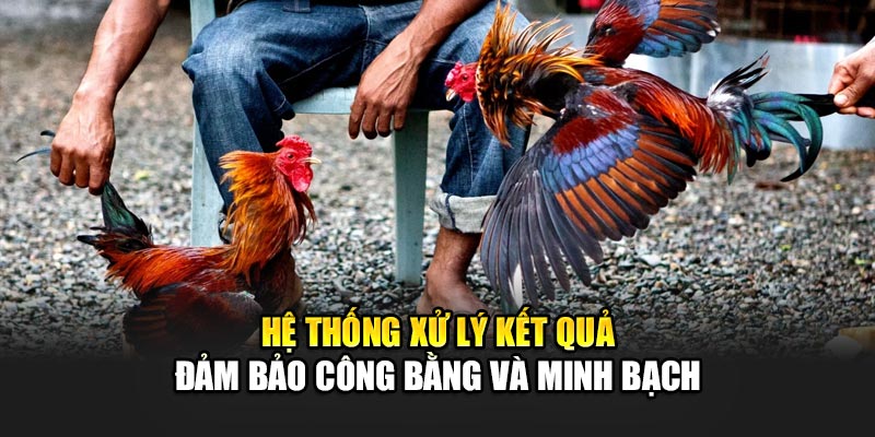 Hệ thống xử lý kết quả đảm bảo công bằng và minh bạch
