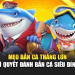 meo-ban-ca-thang-lon-–-bi-quyet-danh-ban-ca-sieu-dinh