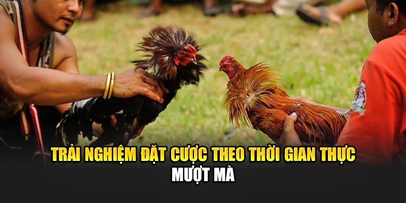 Trải nghiệm đặt cược theo thời gian thực mượt mà
