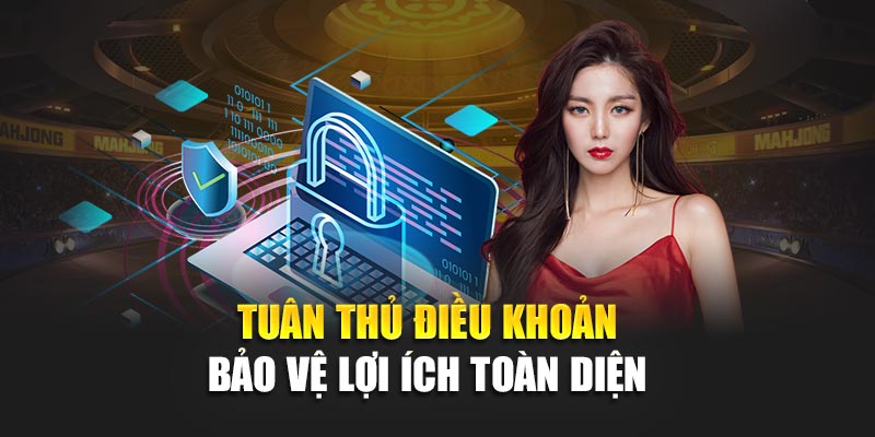Tuân thủ điều khoản bảo vệ lợi ích toàn diện