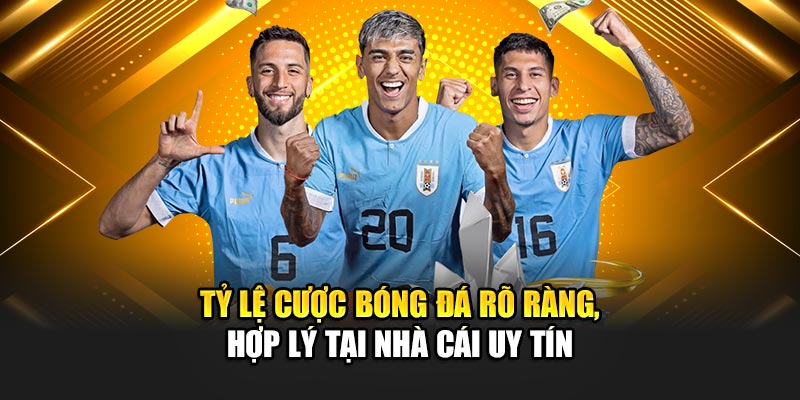 ty-le-cuoc-bong-da-ro-rang-hop-ly-tai-nha-cai-uy-tin